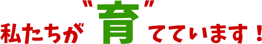 松本園芸農場
