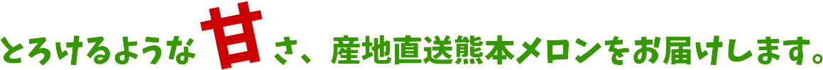 肥後グリーン　産地直送　熊本メロン　松本園芸農場