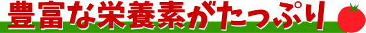 ミニトマト　熊本八代　松本園芸農場