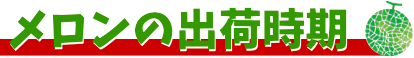 メロン販売　ミニトマト販売　熊本　産地直送　松本園芸農場