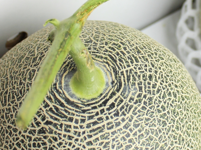 肥後グリーンメロン　熊本メロン　産地直送　ネット販売